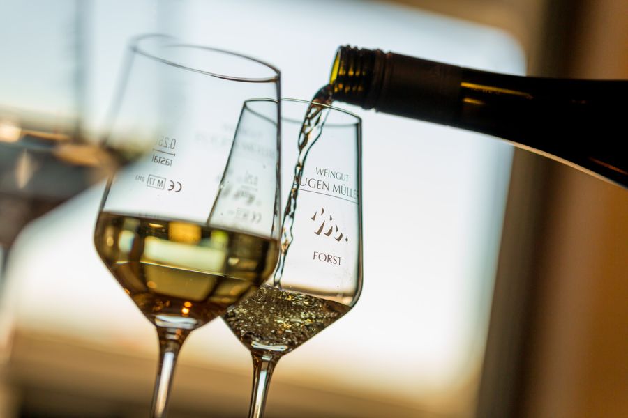 Weinprobe mit Topweinen aus den Spitzenlagen der Pfalz